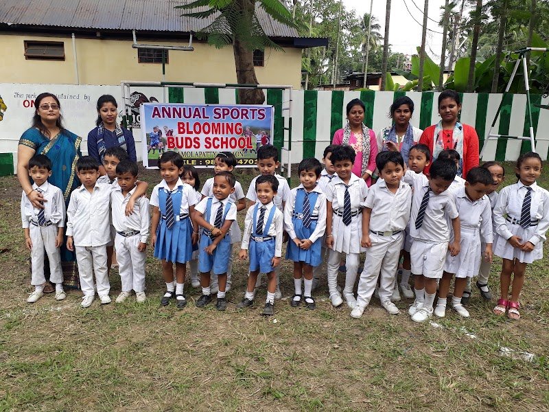 Blooming Buds School