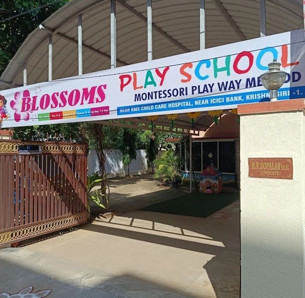 Blossoms Play School Campus