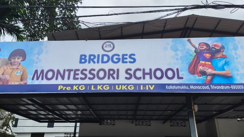 Bridges Montessori School