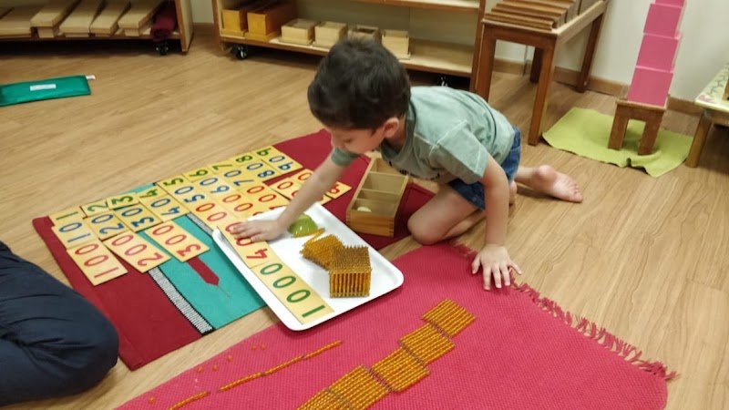 Da Vinci Montessori Campus