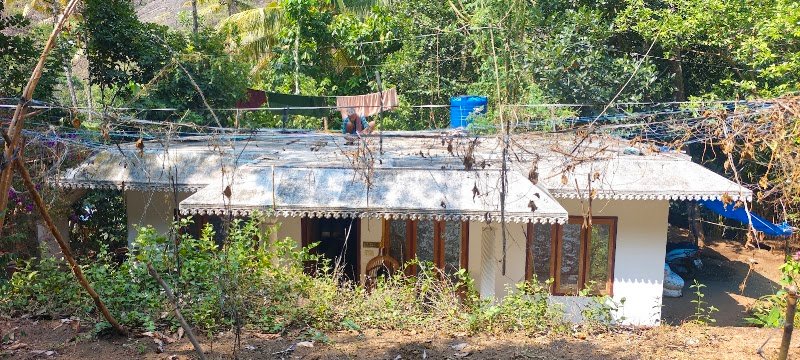 El City Nursery Campus
