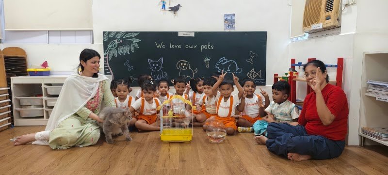 Foundree Preschool & Daycare