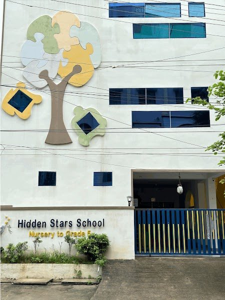 Hidden Stars School