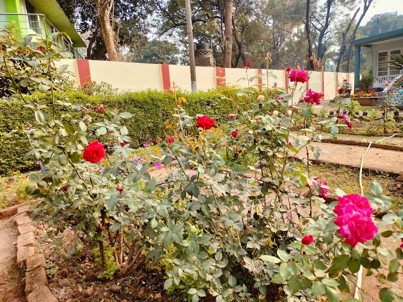 Indo German Kindergarten School Campus
