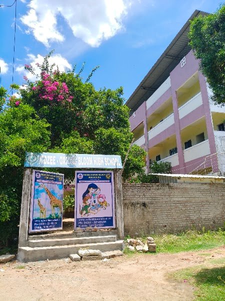 Kidzee Junior School Campus