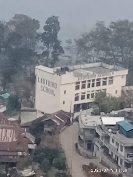 Ladybird School Campus