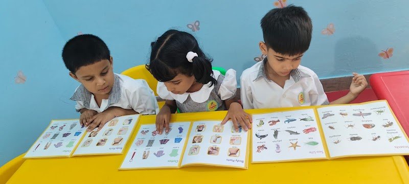 Little Bloomers Preschool And Daycare Kollam Campus