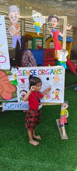 Little Champ Nursery School Campus