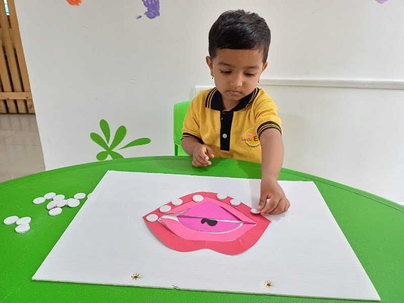 Little Elly Campus