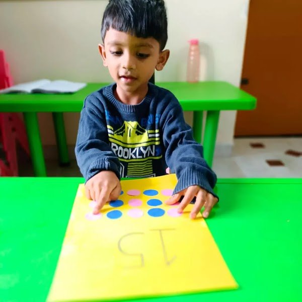 Little Elly Campus