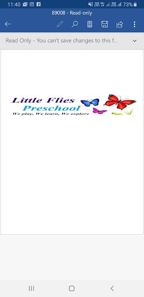 Little Flies Preschool Campus