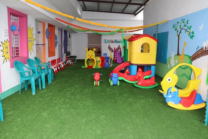 Little Genius Montessori School