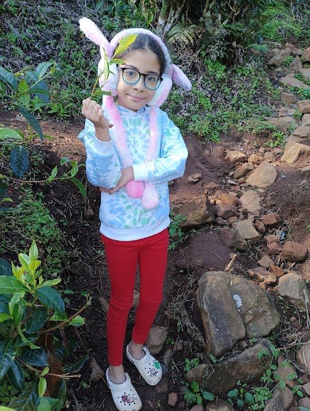 Little More Education Group Prabhadevi
