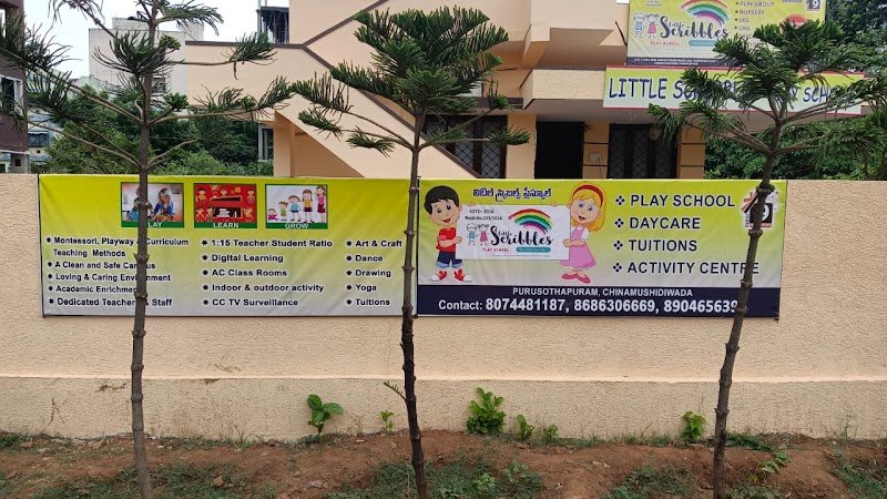 Little Scribbles Play School Campus