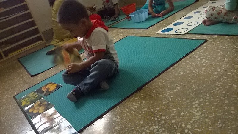 Little Treasure Montessori Jayanagar Campus