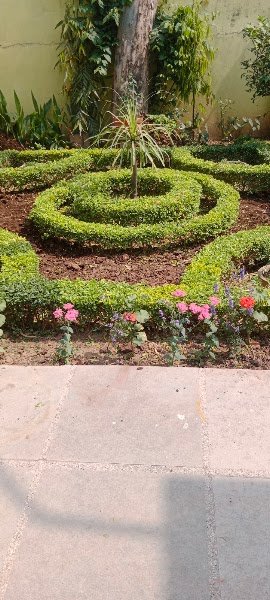 Mother Teresa Children Academy Campus
