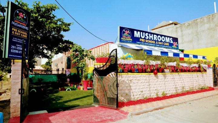 Mushrooms Preschool & Day Care Campus