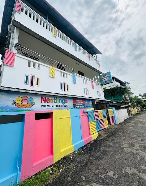 Nestlings Premium Preschool