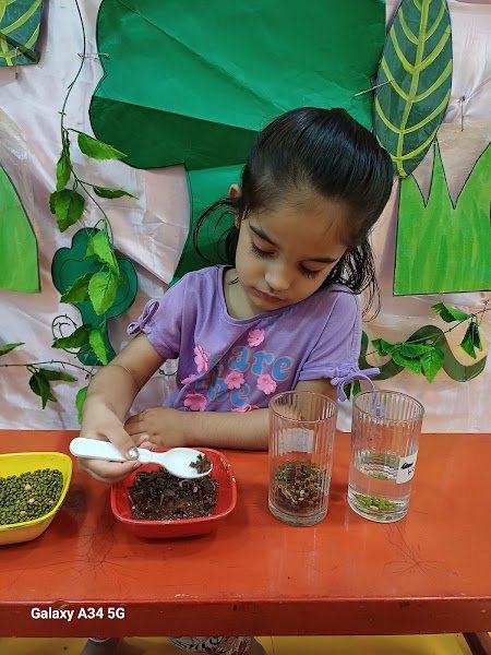 New Blossoms Montessori Preschool & Campus