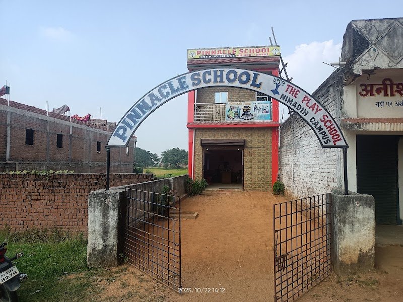 Pinnacle School Nimadih Campus