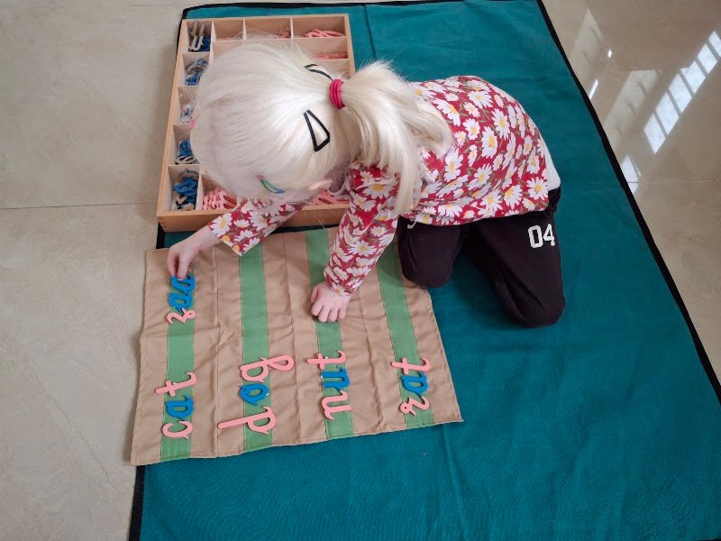 Roots Montessori Academy Preschool And Daycare Campus