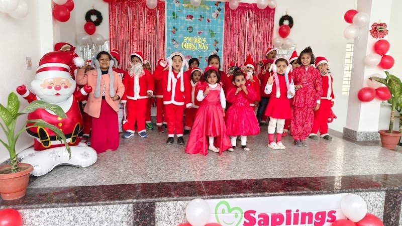Saplings Kindergarten (Play School) Campus