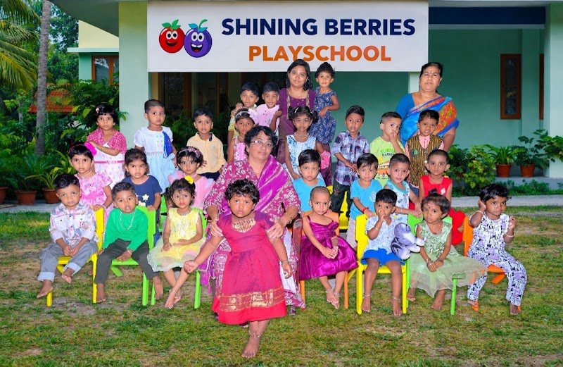 Shining Berries Playschool And Daycare